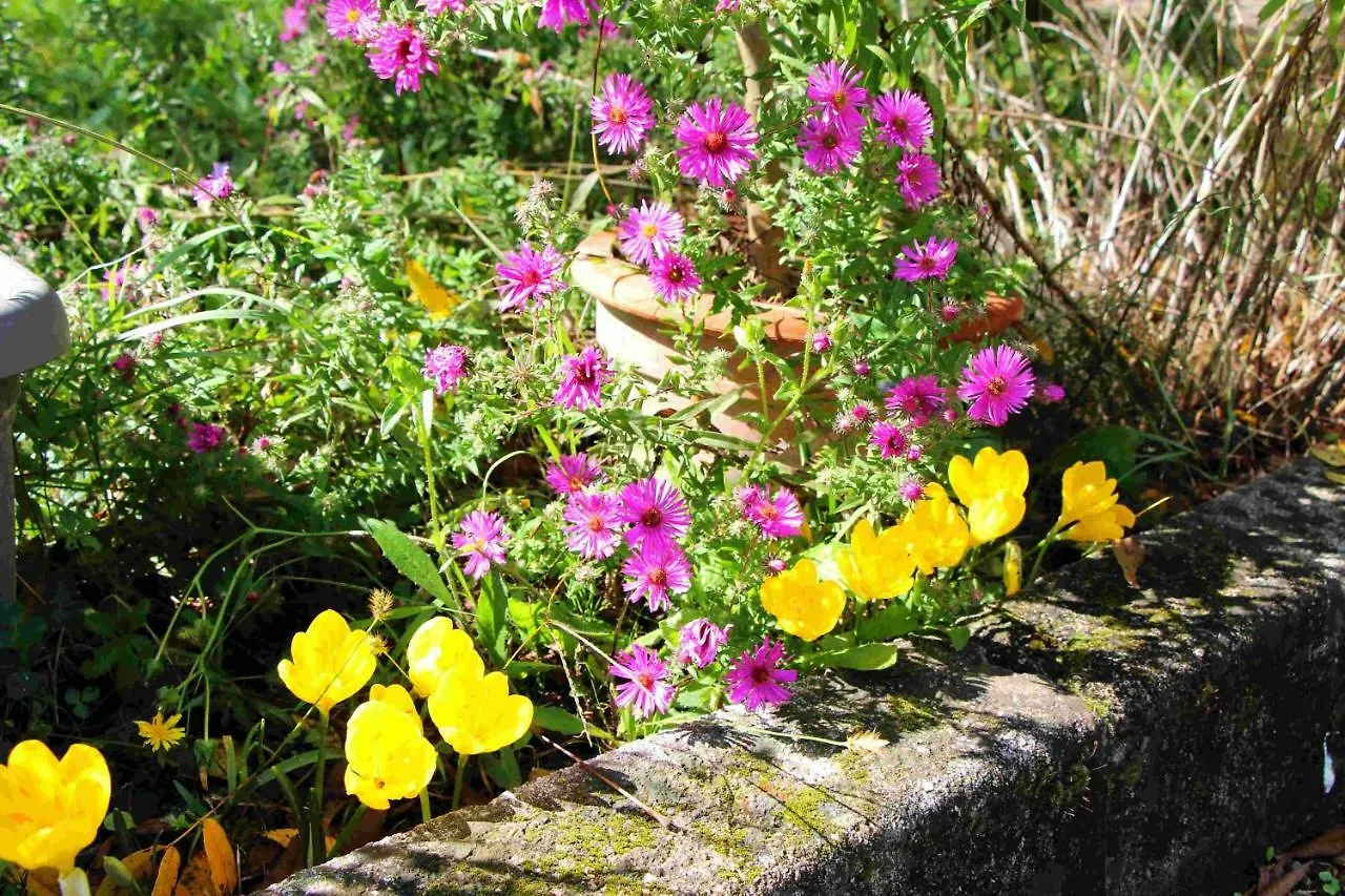 Bed & Breakfast B&B Collegio Dei Palazzi Preganziol Italy